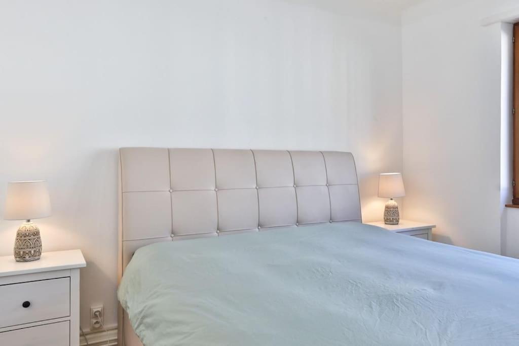 Suite Tres Moderne Et Cosy, Proche Centre-Ville, Mulhouse Centre Zewnętrze zdjęcie